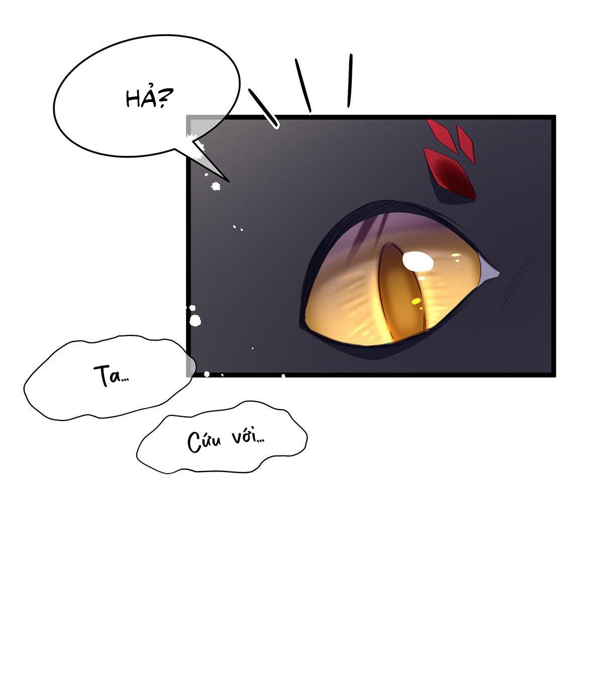 Tôi trùng sinh thành chú rồng đen của vương tử điện hạ - Chap 14