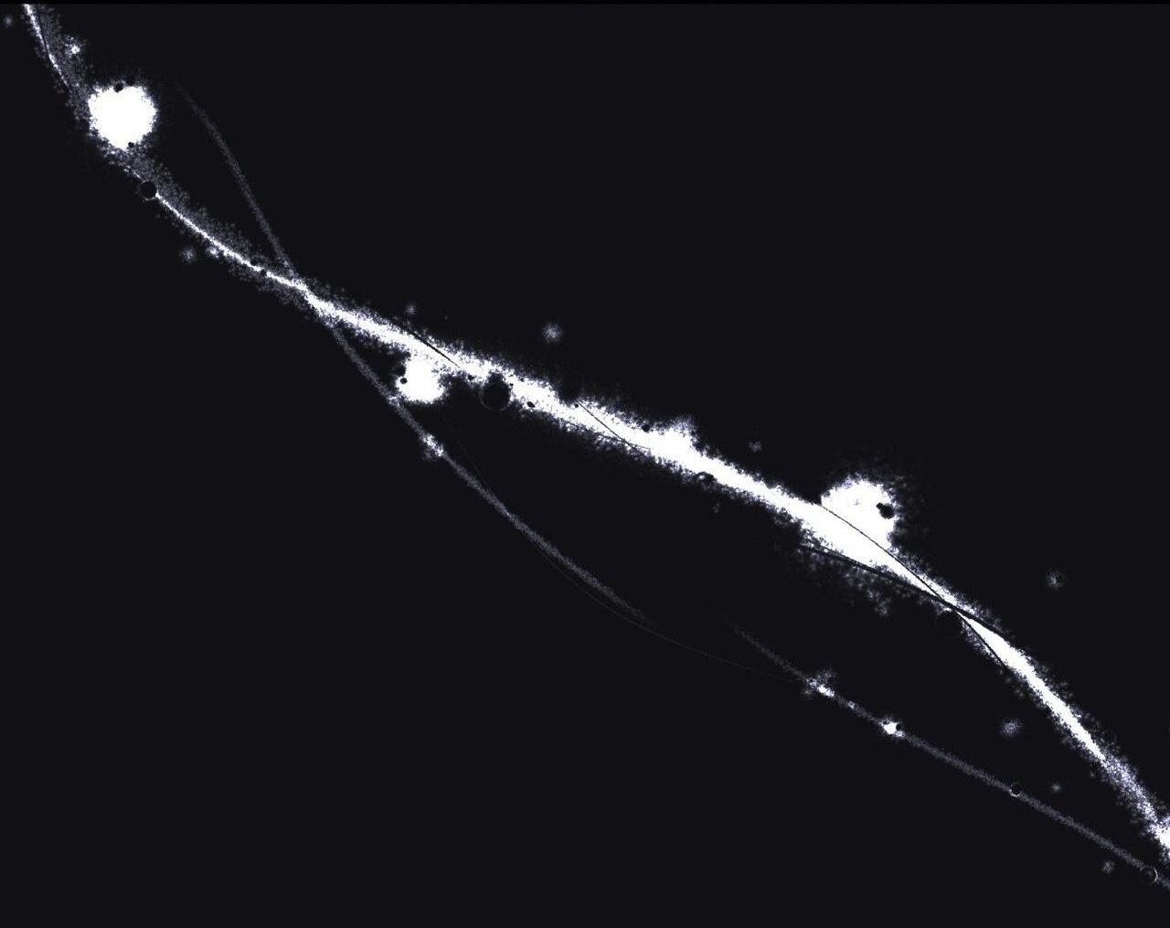 CHỜ CHÚT! ĐỪNG DI CHUYỂN - Chap 1