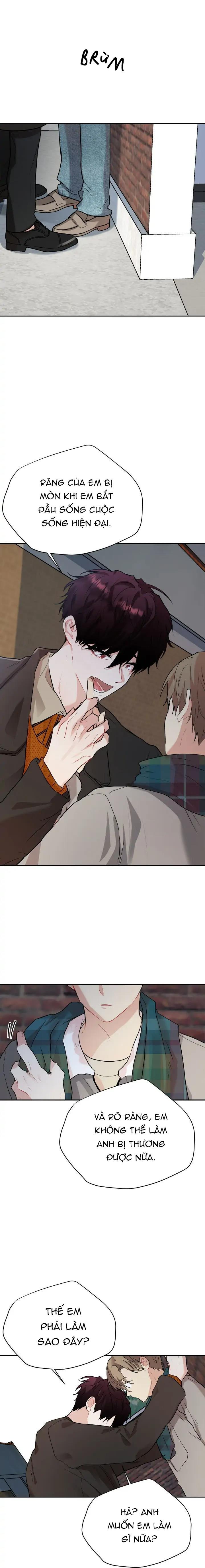 (END) Nếu Như Cậu Bạn Hàng Xóm Là Vampire? - Chap 55