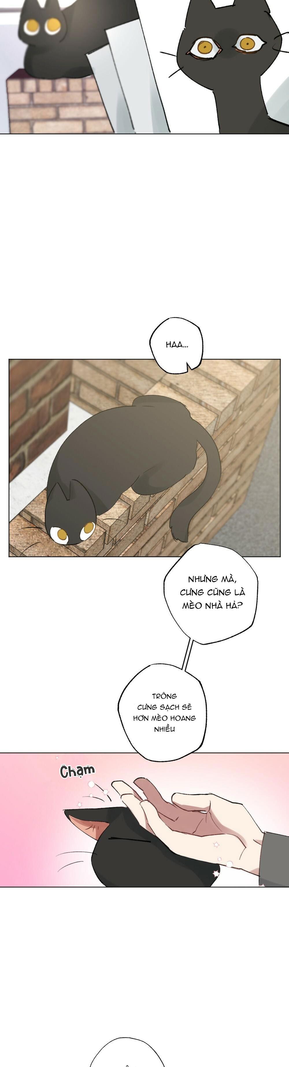 TUYỂN TẬP DÚ BỰ - Chap 54