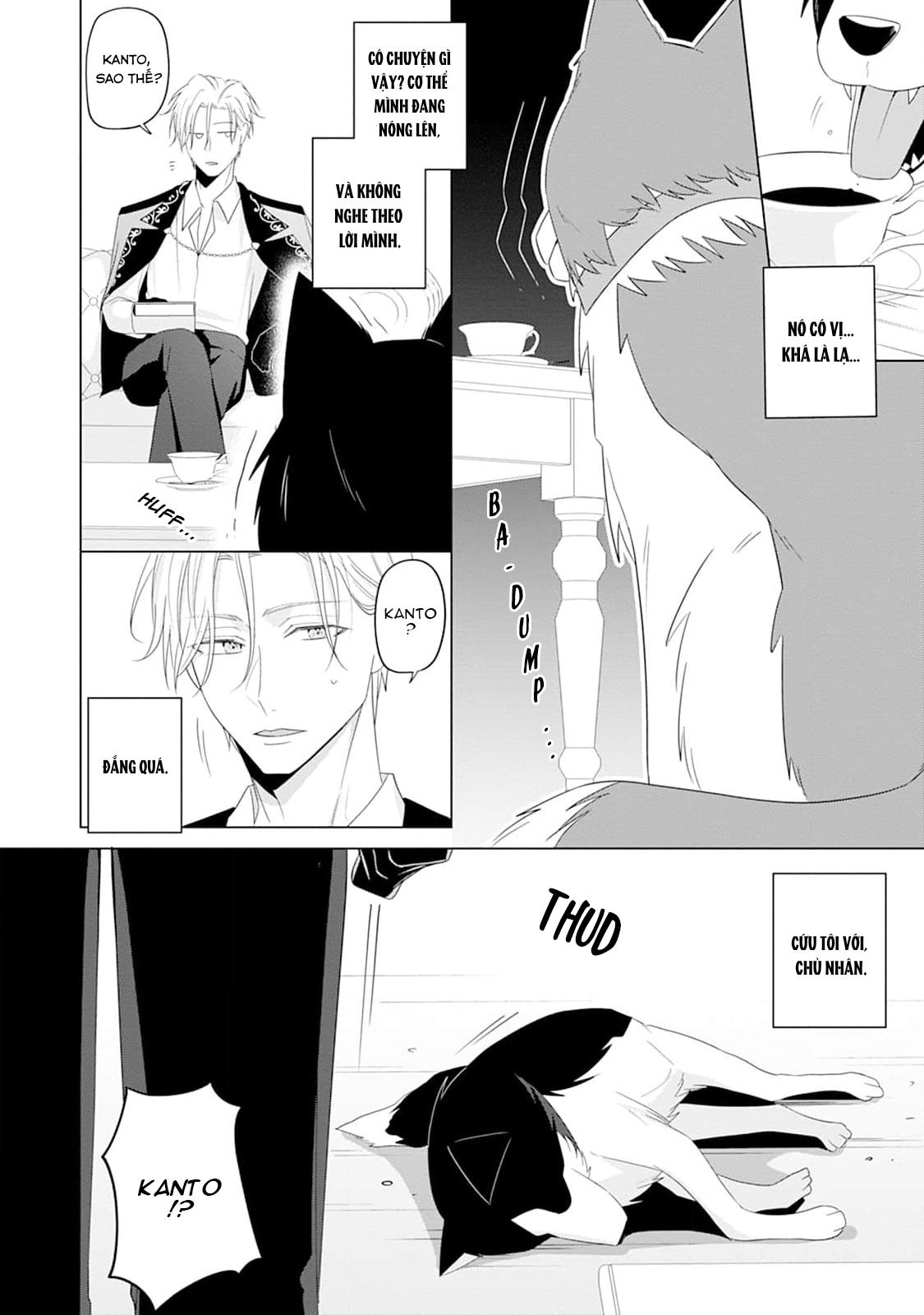 Ở đây có yaoi hơi bị choáy - Chap 220