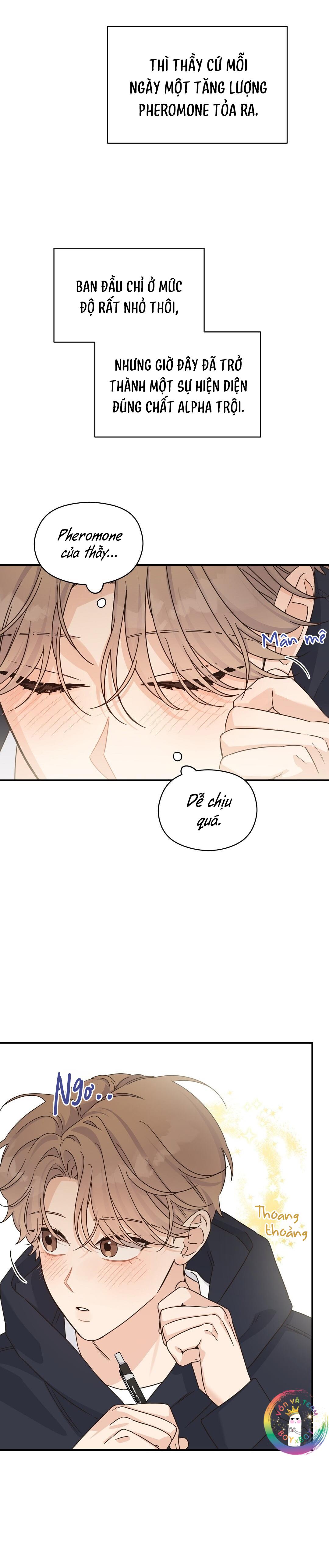 ✿ Vết Thương Alpha ✿ - Chap 15
