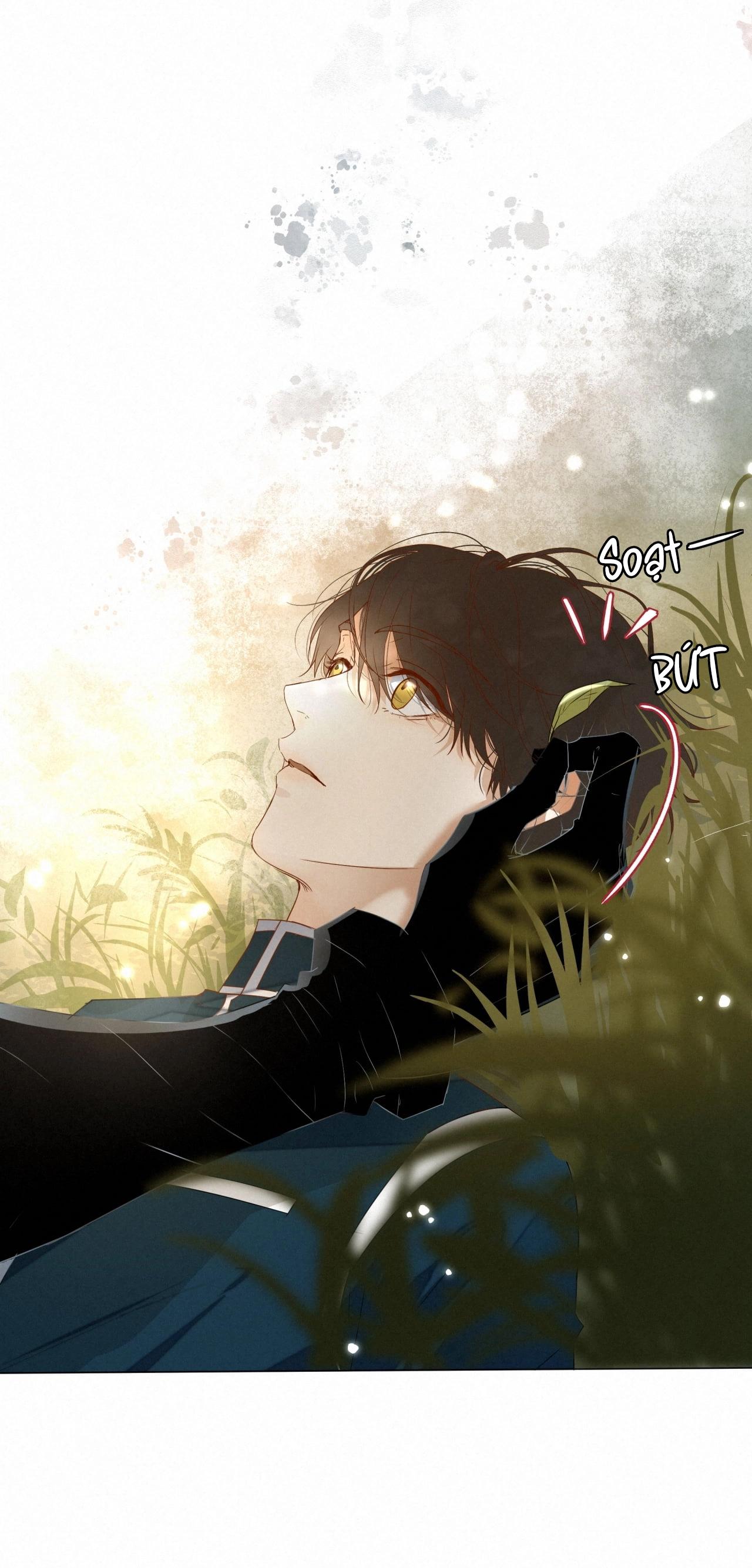 Trỗi Dậy Từ Tro Tàn - Chap 16