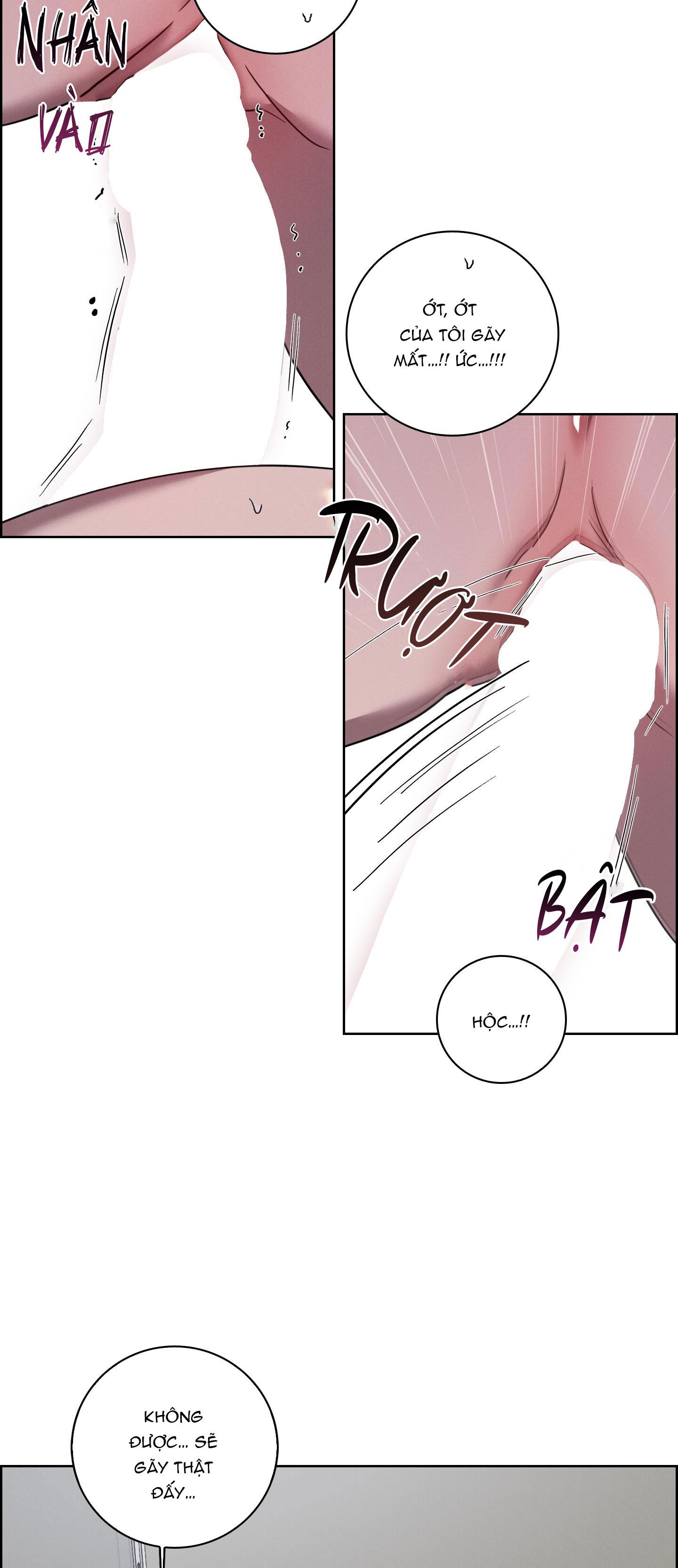 VỤ ÁN CON CU BIẾN MẤT - Chap 5