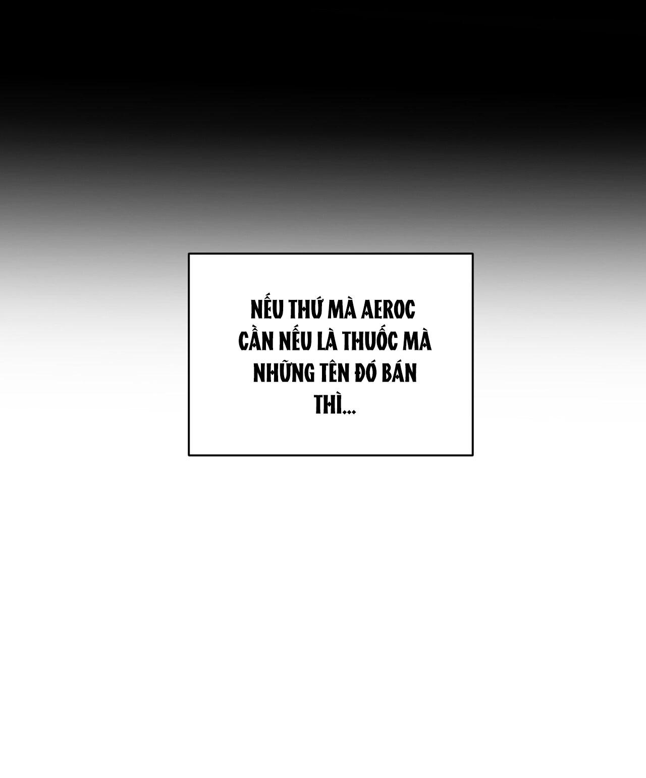 INTO THE ROSE GARDEN - Chap 56