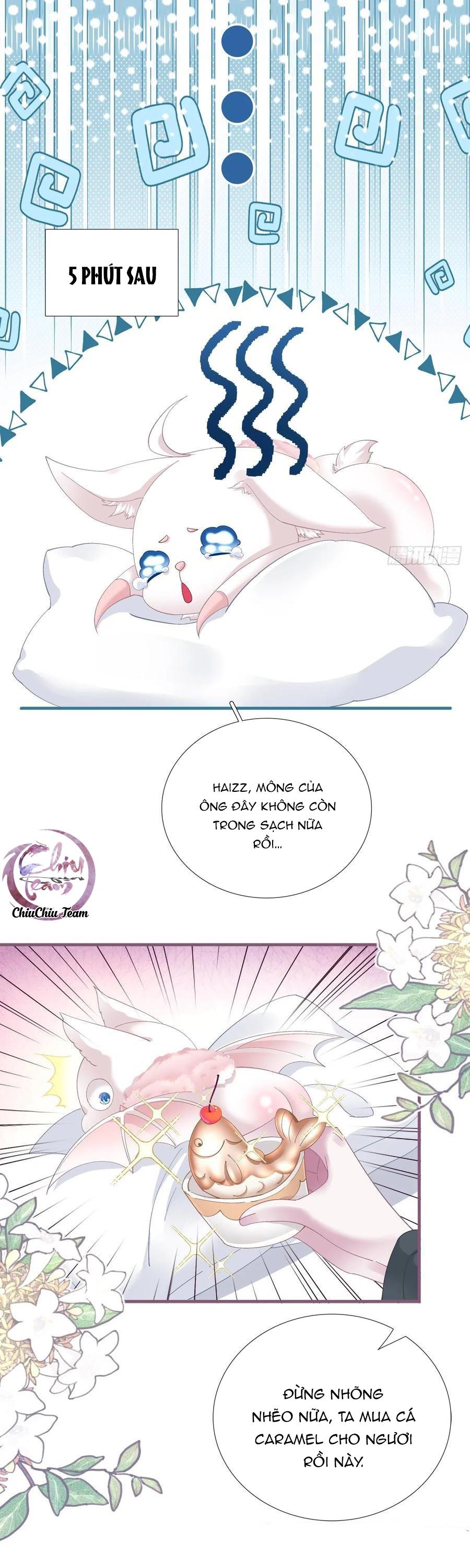 Thánh Tâm không dễ chọc - Chap 66