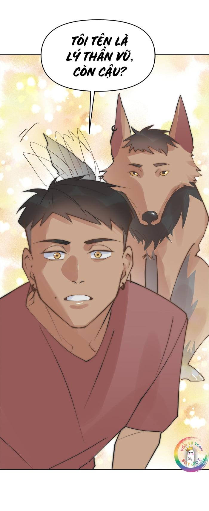 (END) Đàn Anh Sói Ca Cùng Phòng Của Tôi - Chap 43