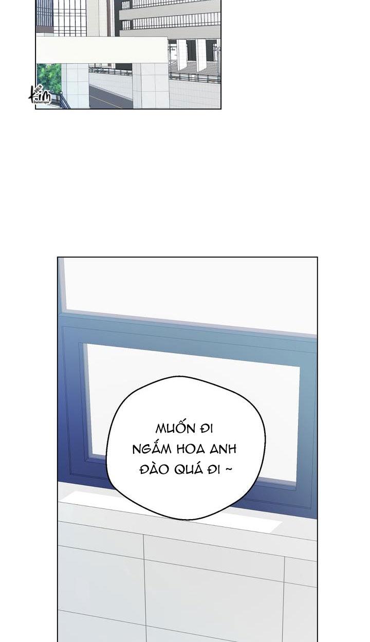BÁNH QUY TÌNH YÊU TAN CHẢY - Chap 11