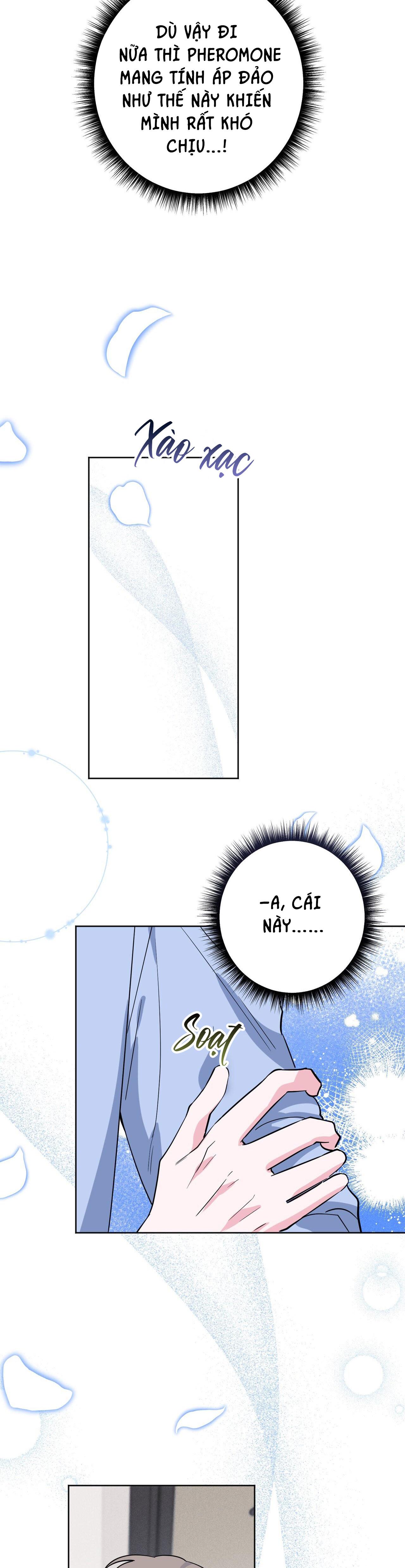 CẠM BẪY ĐẠI HỌC - Chap 64