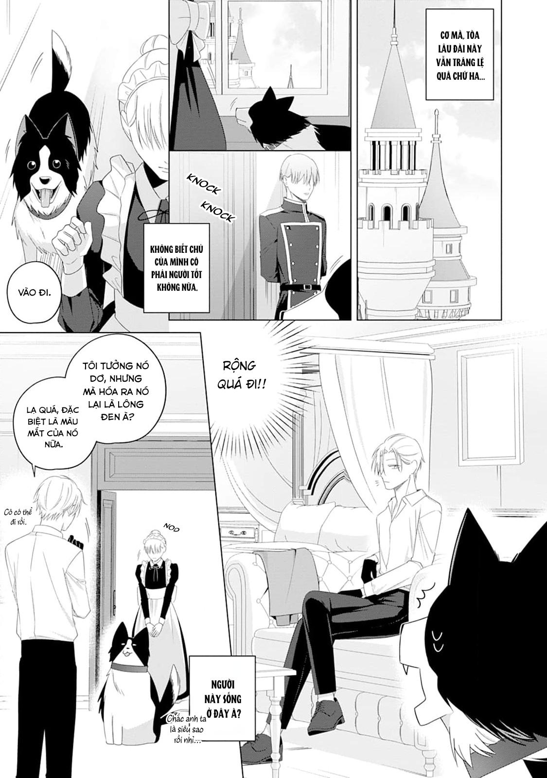 Ở đây có yaoi hơi bị choáy - Chap 220