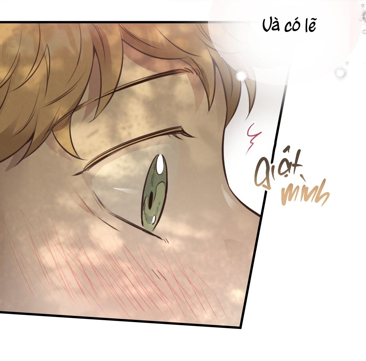 MẬT GẤU - Chap 38