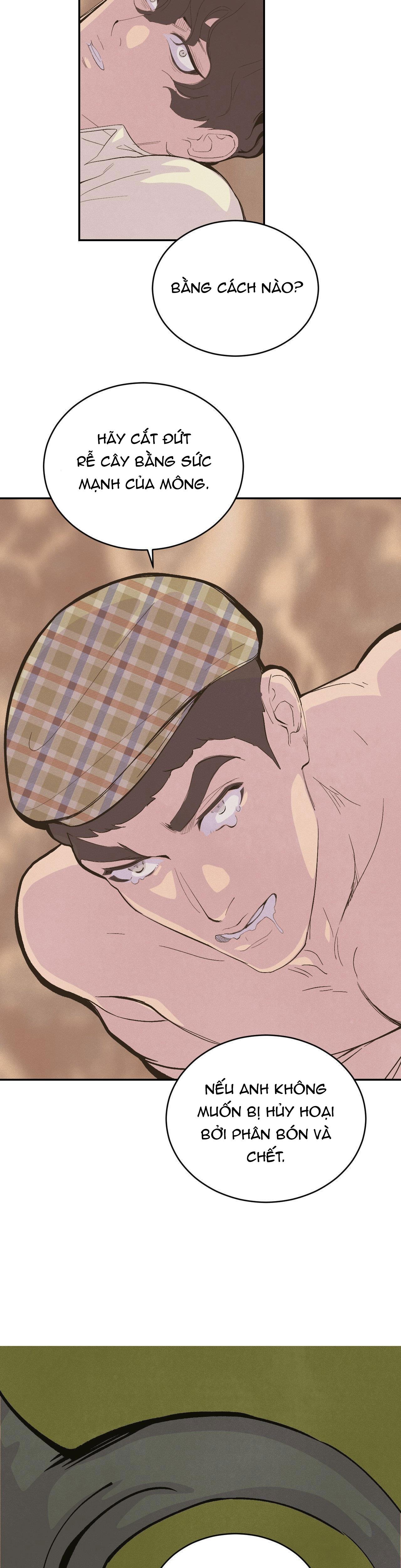 CẬU BÉ ĐÀO - Chap 33