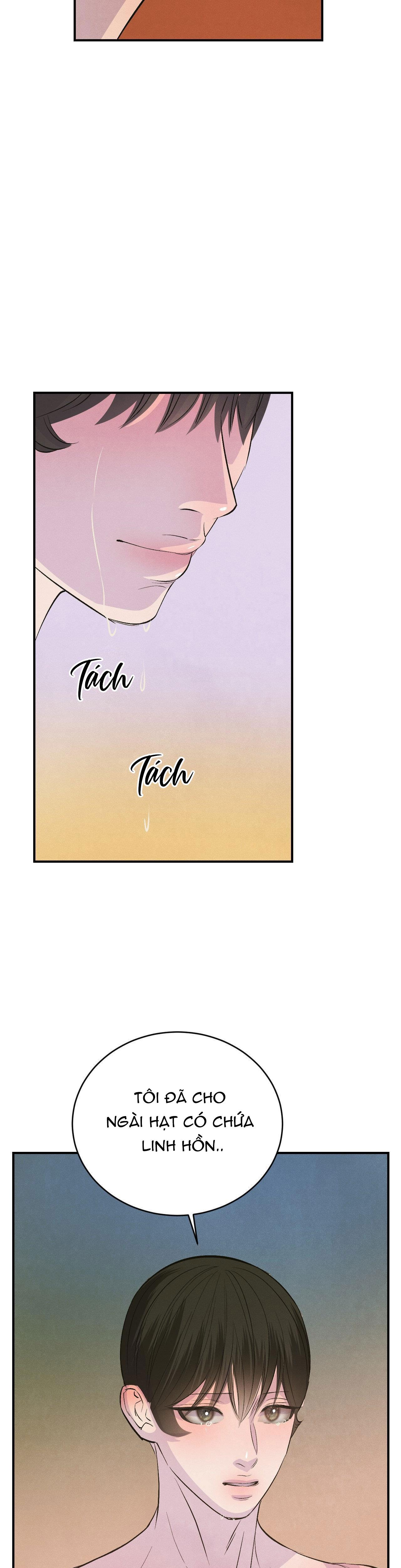 CẬU BÉ ĐÀO - Chap 13