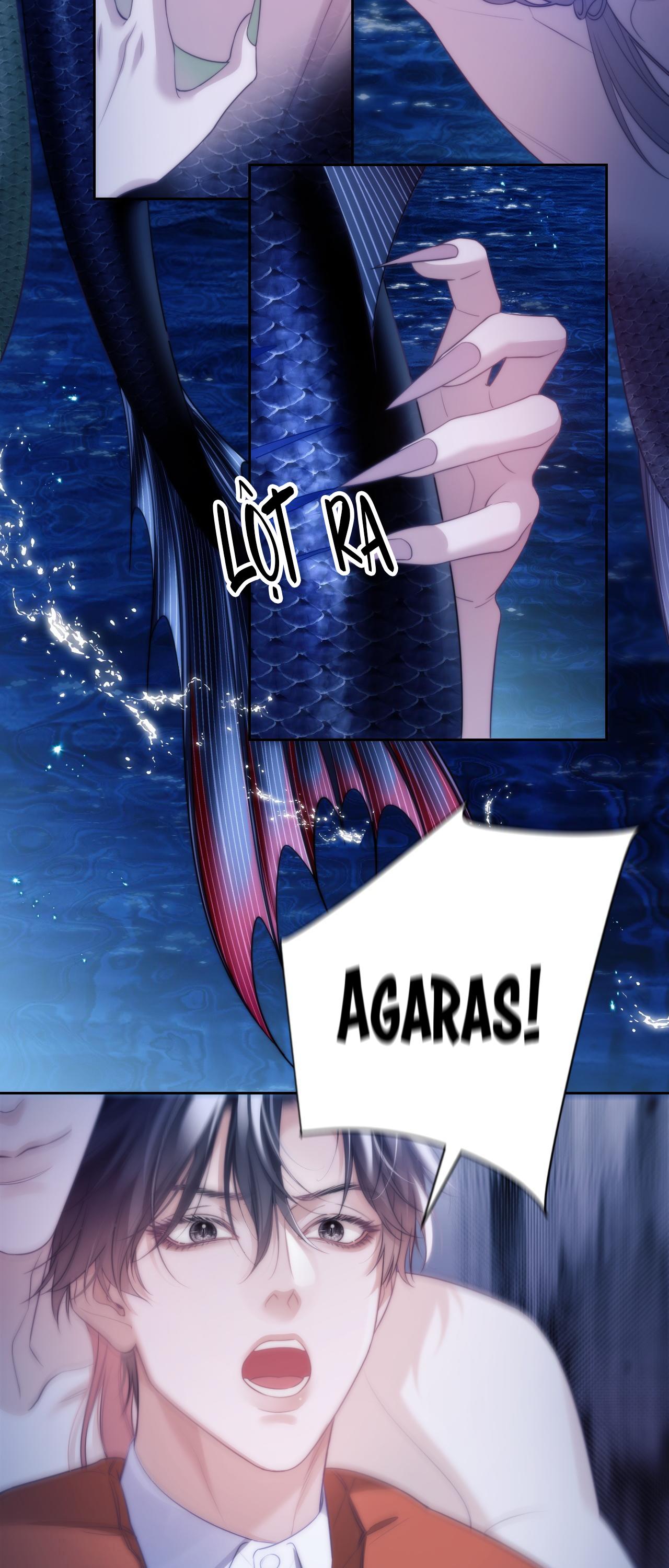 Nhân Ngư Desharow - Chap 42