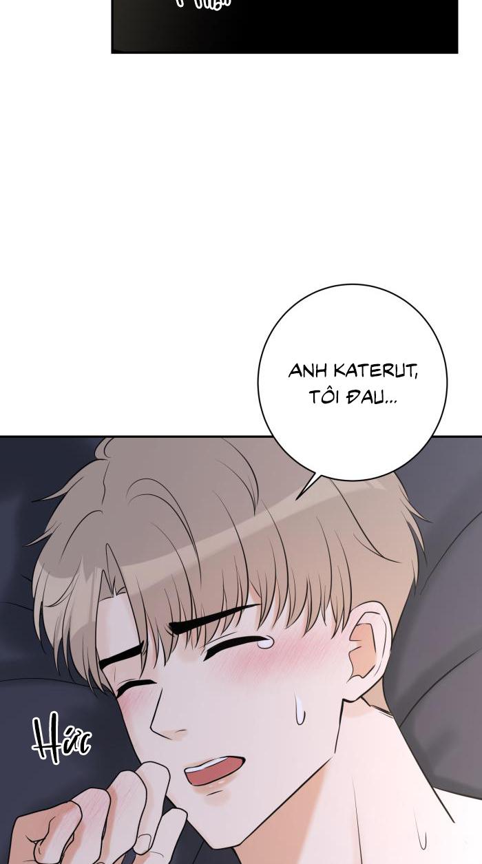 Tỉnh dậy lần nữa bỗng trở thành minh tinh rồi - Chap 28