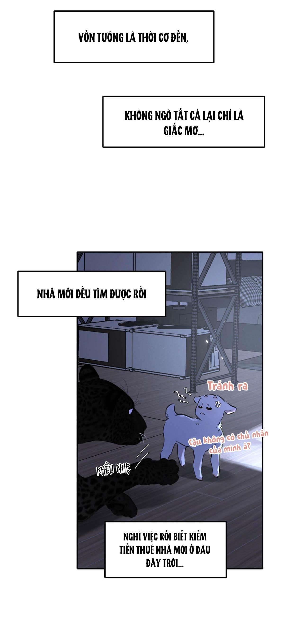 Tôi Trở Thành Dẫn Đường Đỉnh Cấp Nhờ Trúc Mã - Chap 17
