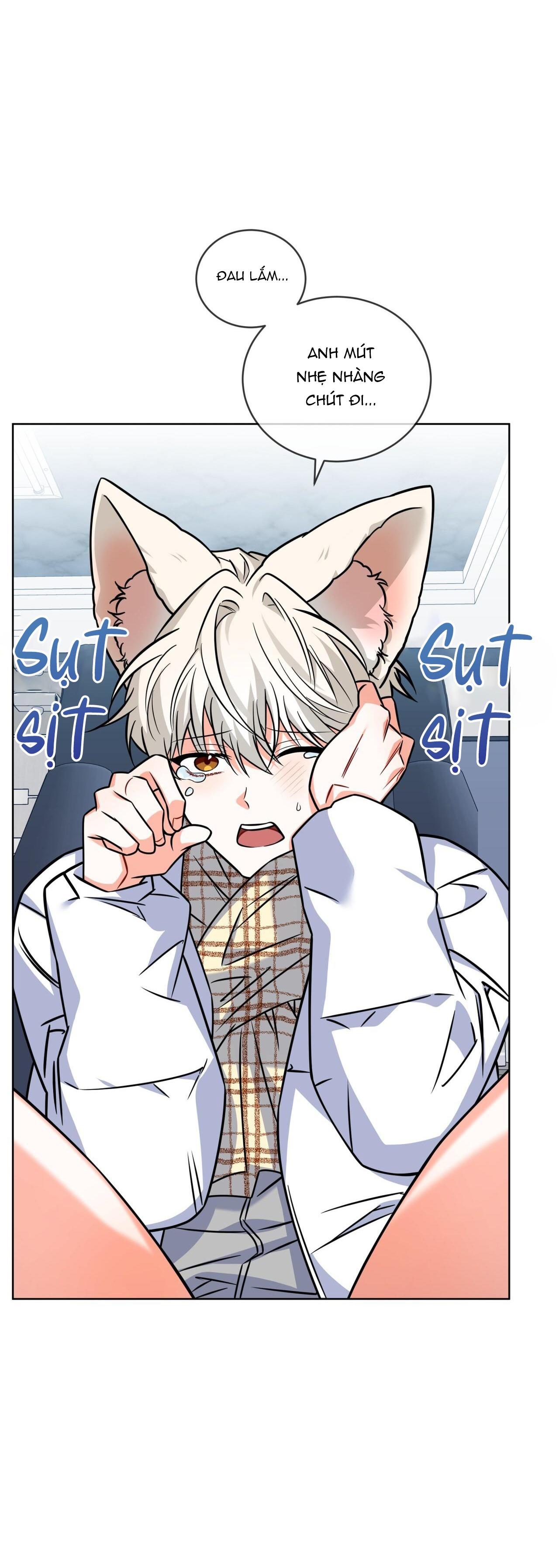 NƯỚC UỐNG TÌNH YÊU CỦA CÁO PLIN - Chap 28