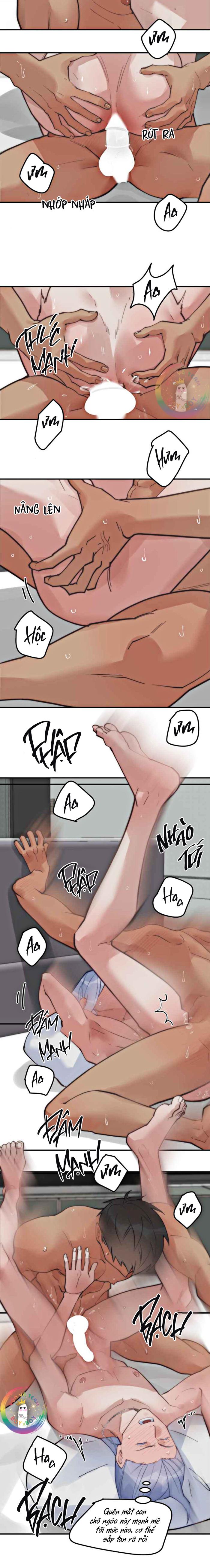 (END) Đàn Anh Sói Ca Cùng Phòng Của Tôi - Chap 66