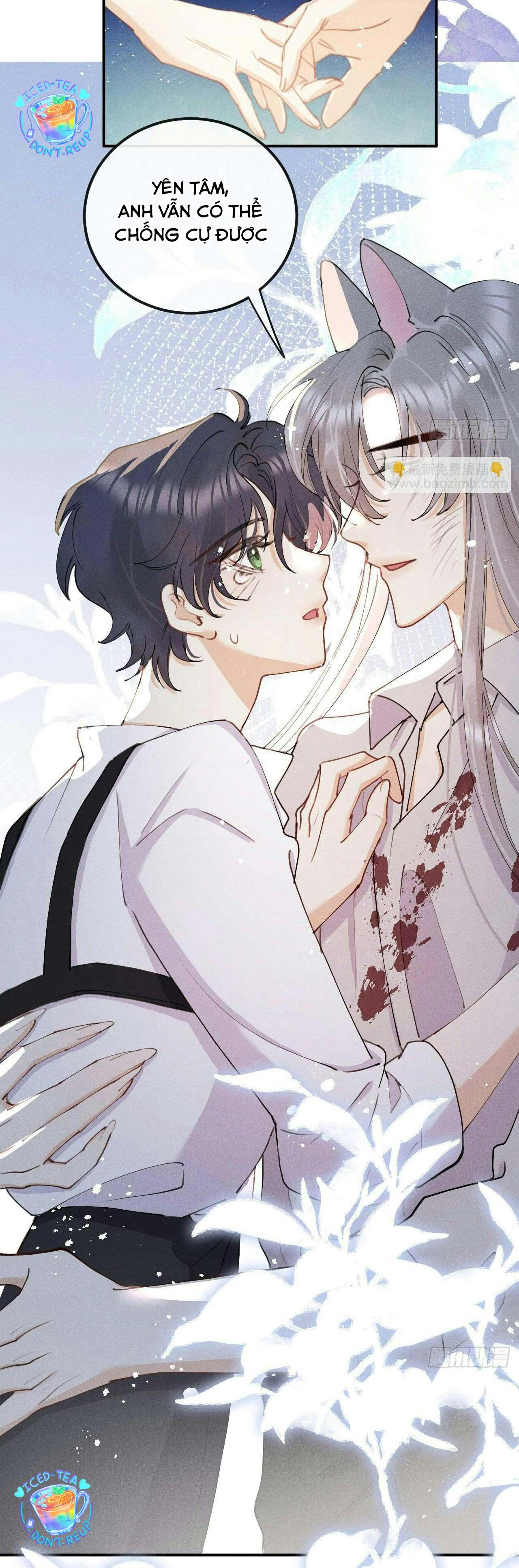 Lang Sói Thượng Khẩu - Chap 82