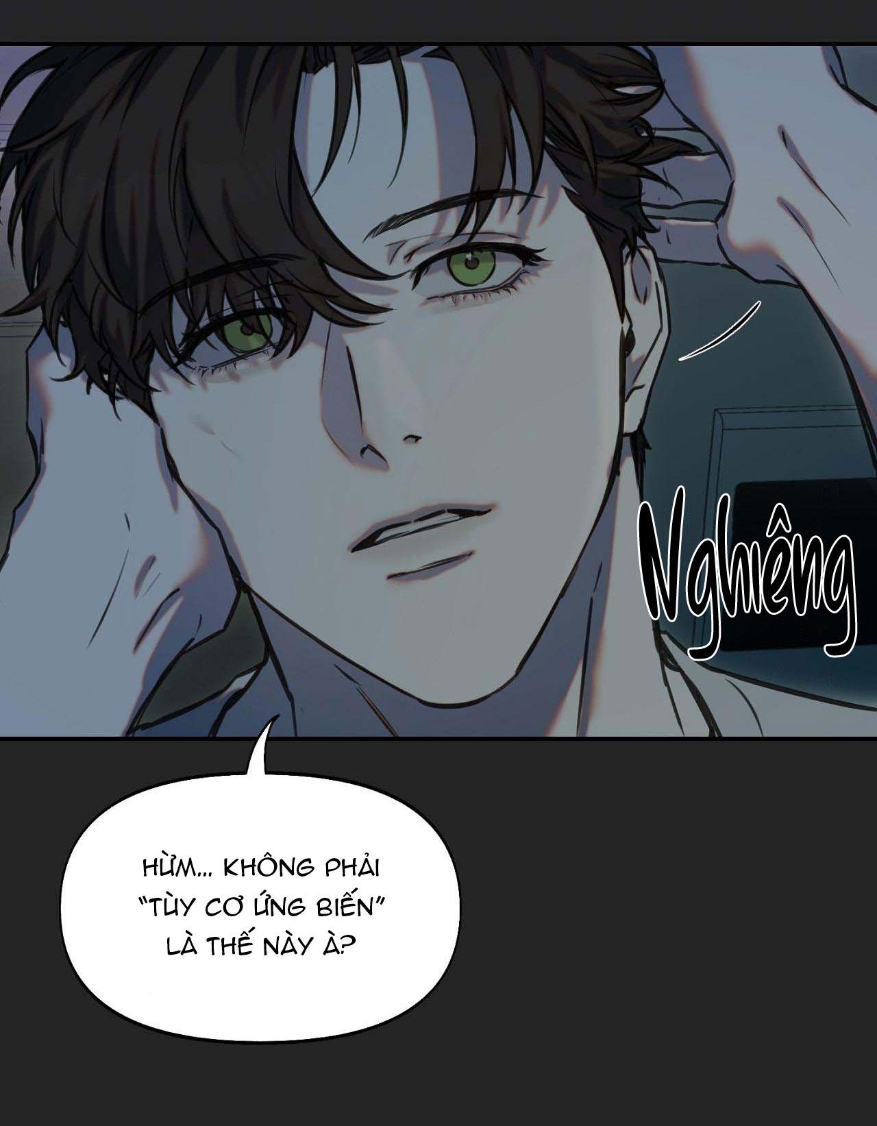 NERD PROJECT - Chap 19