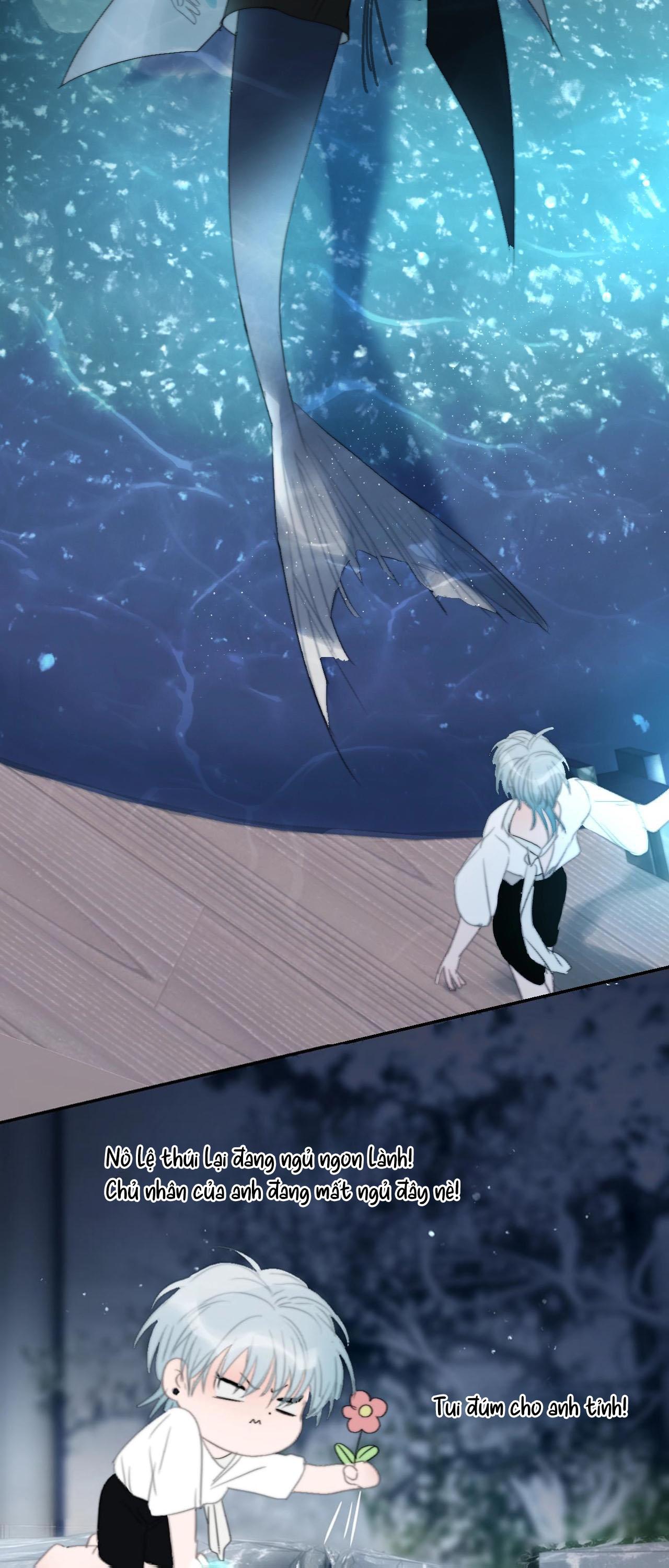 Quanh Năm Có Cá - Chap 21