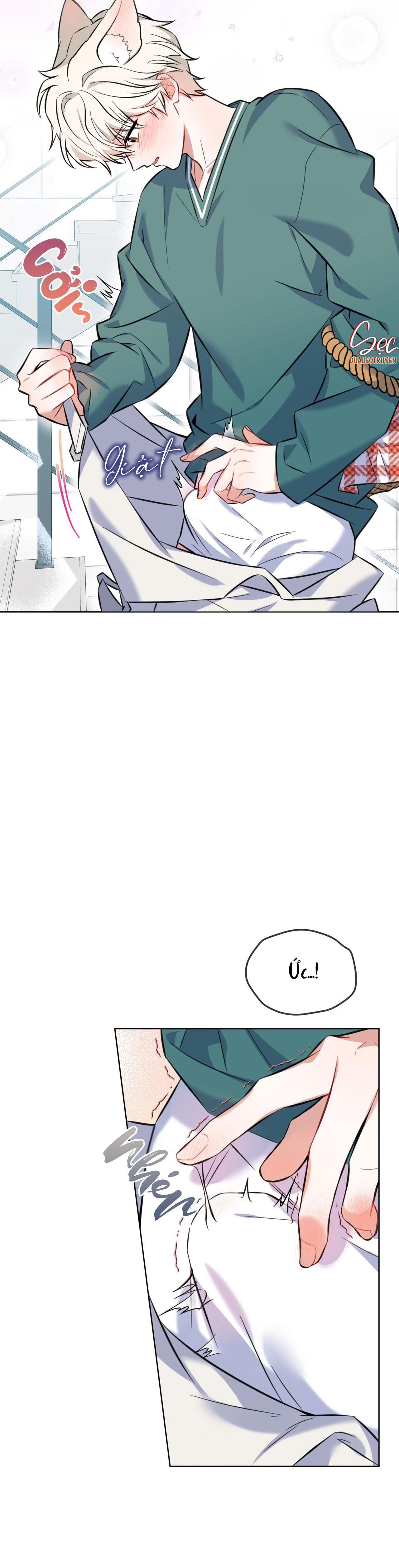 NƯỚC UỐNG TÌNH YÊU CỦA CÁO PLIN - Chap 2