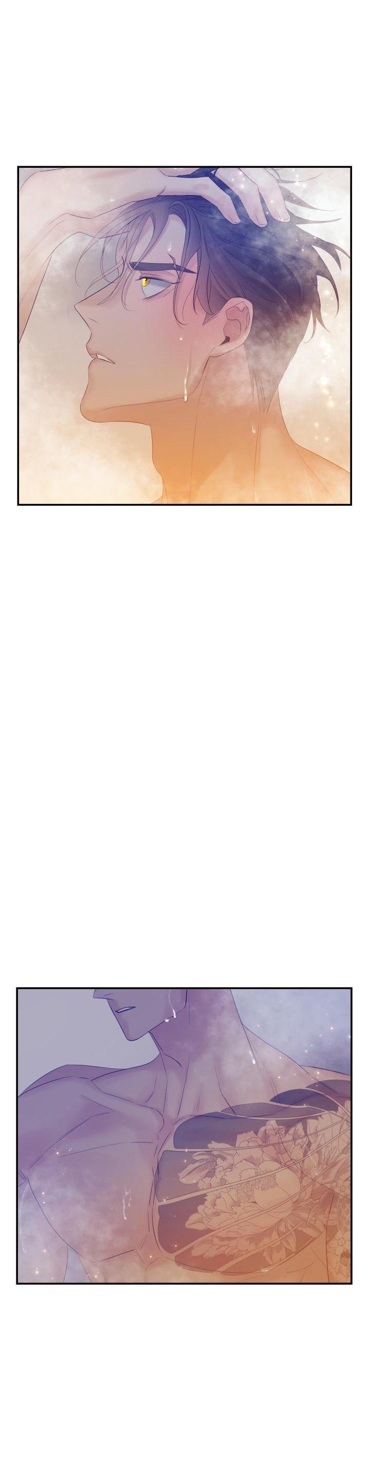 CƠ CHẾ BẢO VỆ - Chap 49