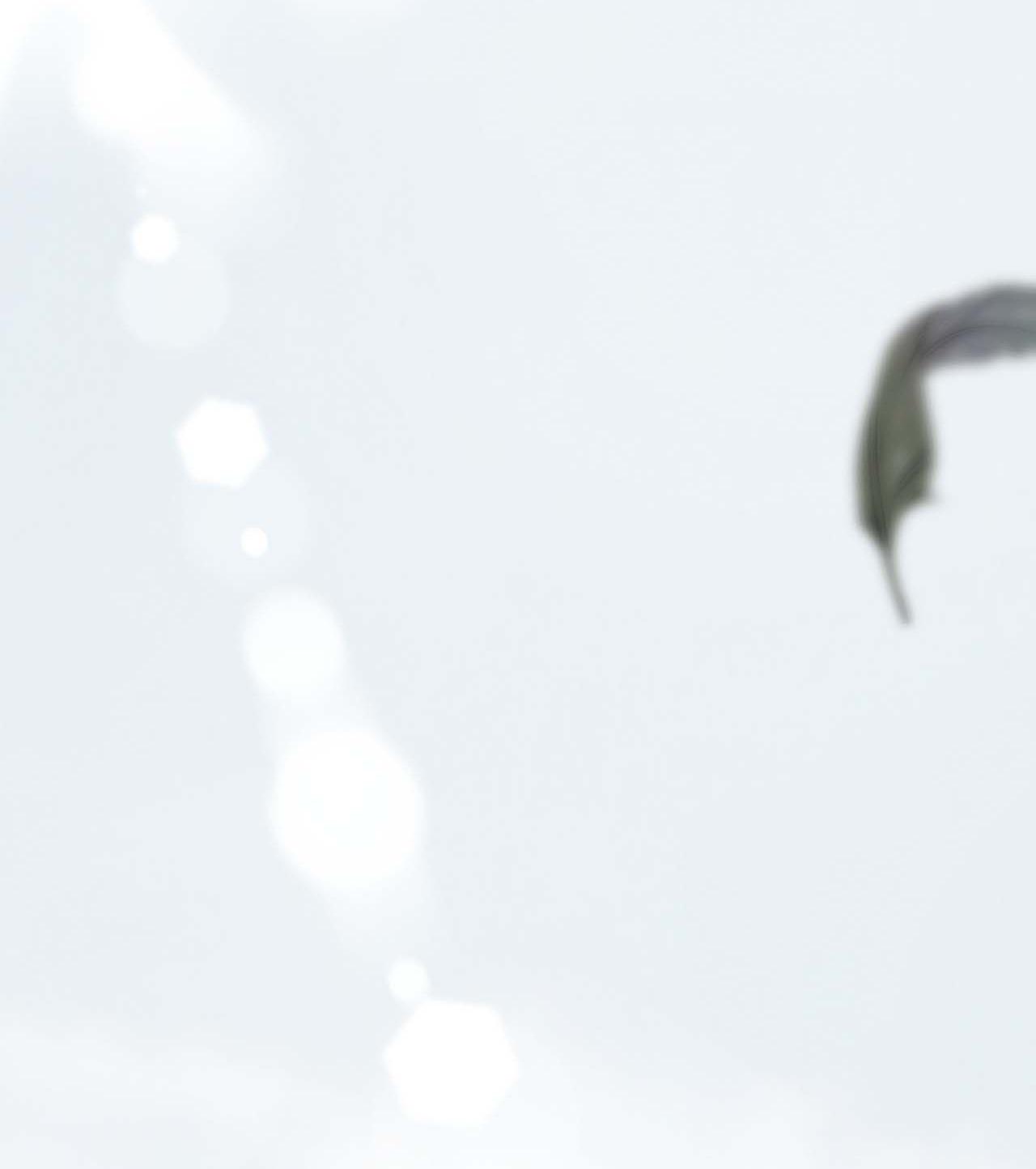 Á NÔ 2 - THÁM HOA - Chap 67