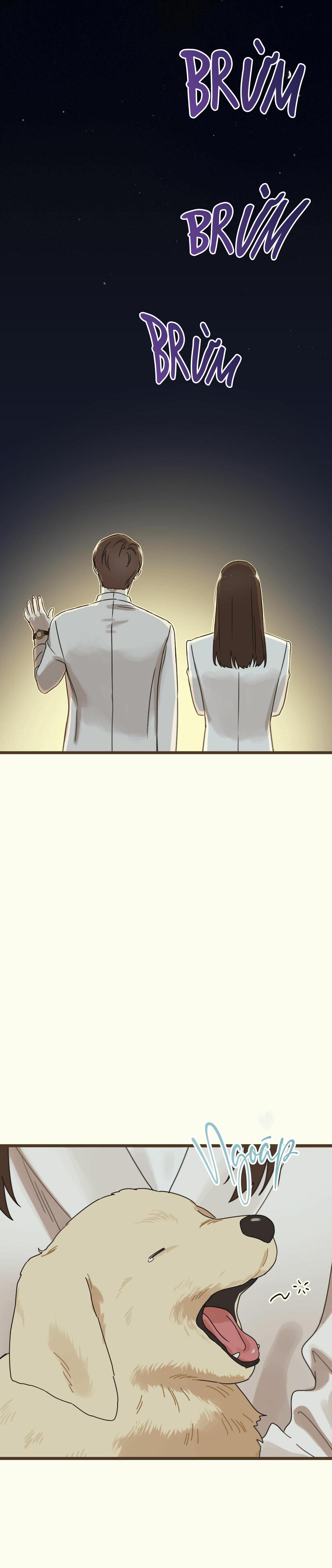 TRÙNG PHÙNG - Chap 18