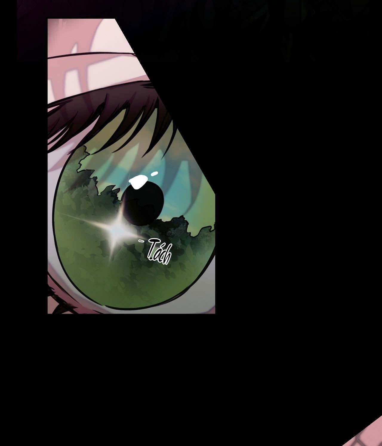 NERD PROJECT - Chap 20