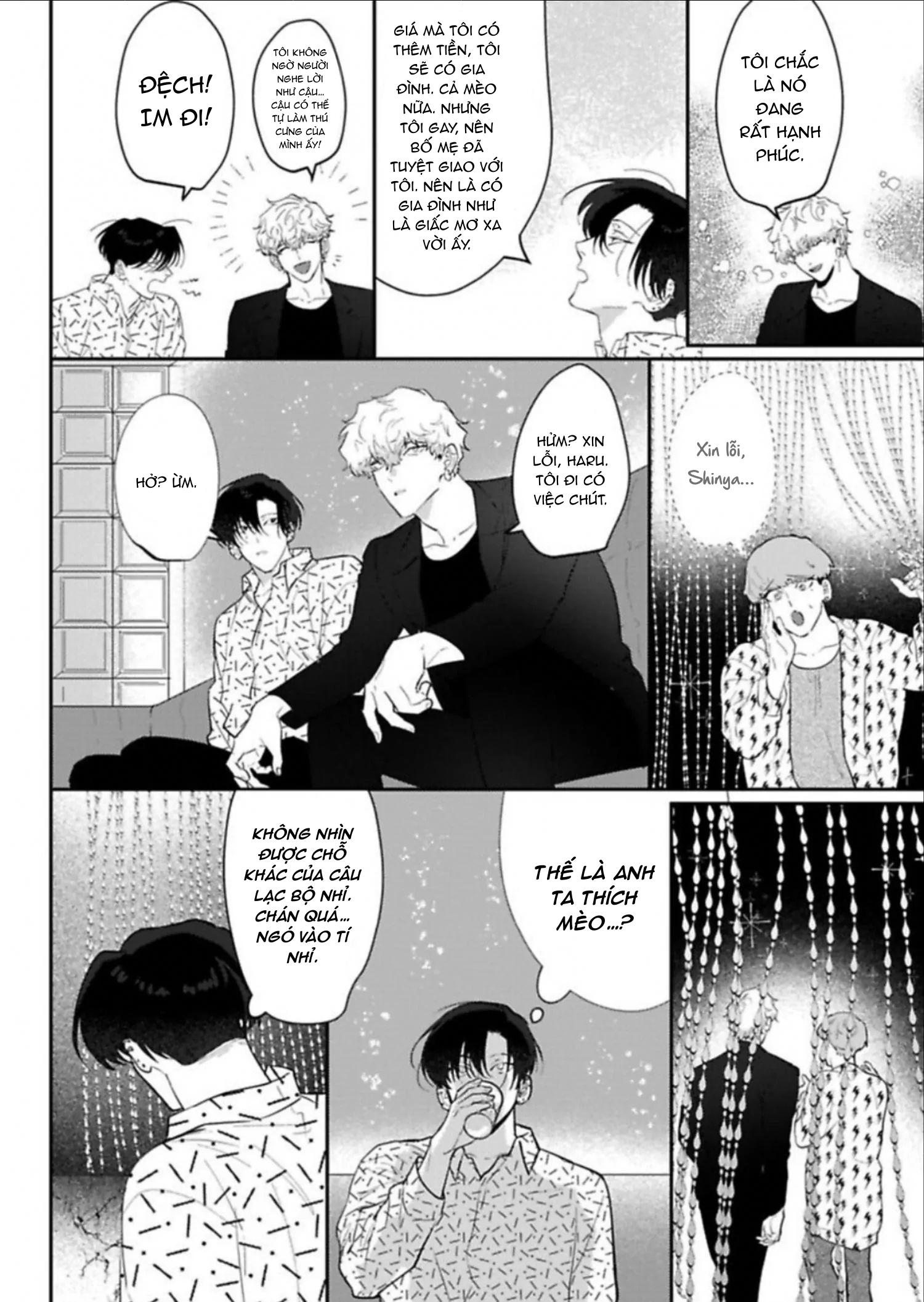 Kabukicho Cat Honey - Chap 2