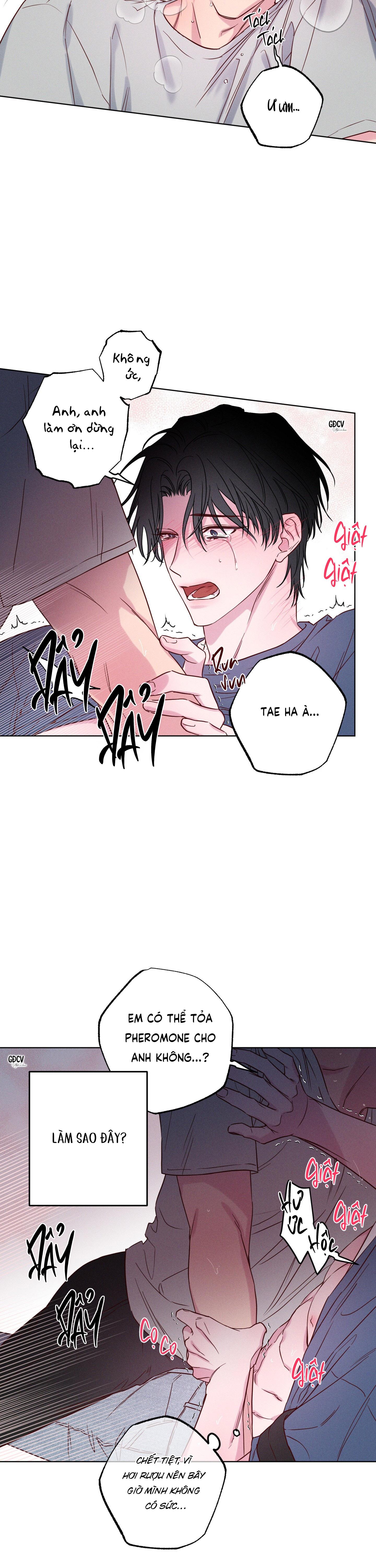 BỜ SÓNG VỖ - Chap 5