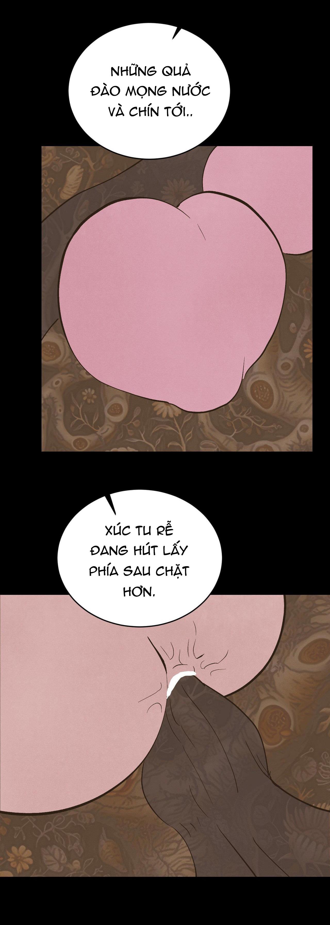 CẬU BÉ ĐÀO - Chap 35