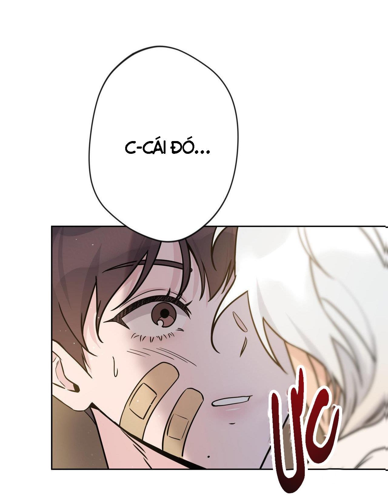 NỤ HÔN THIÊN THẦN - Chap 5