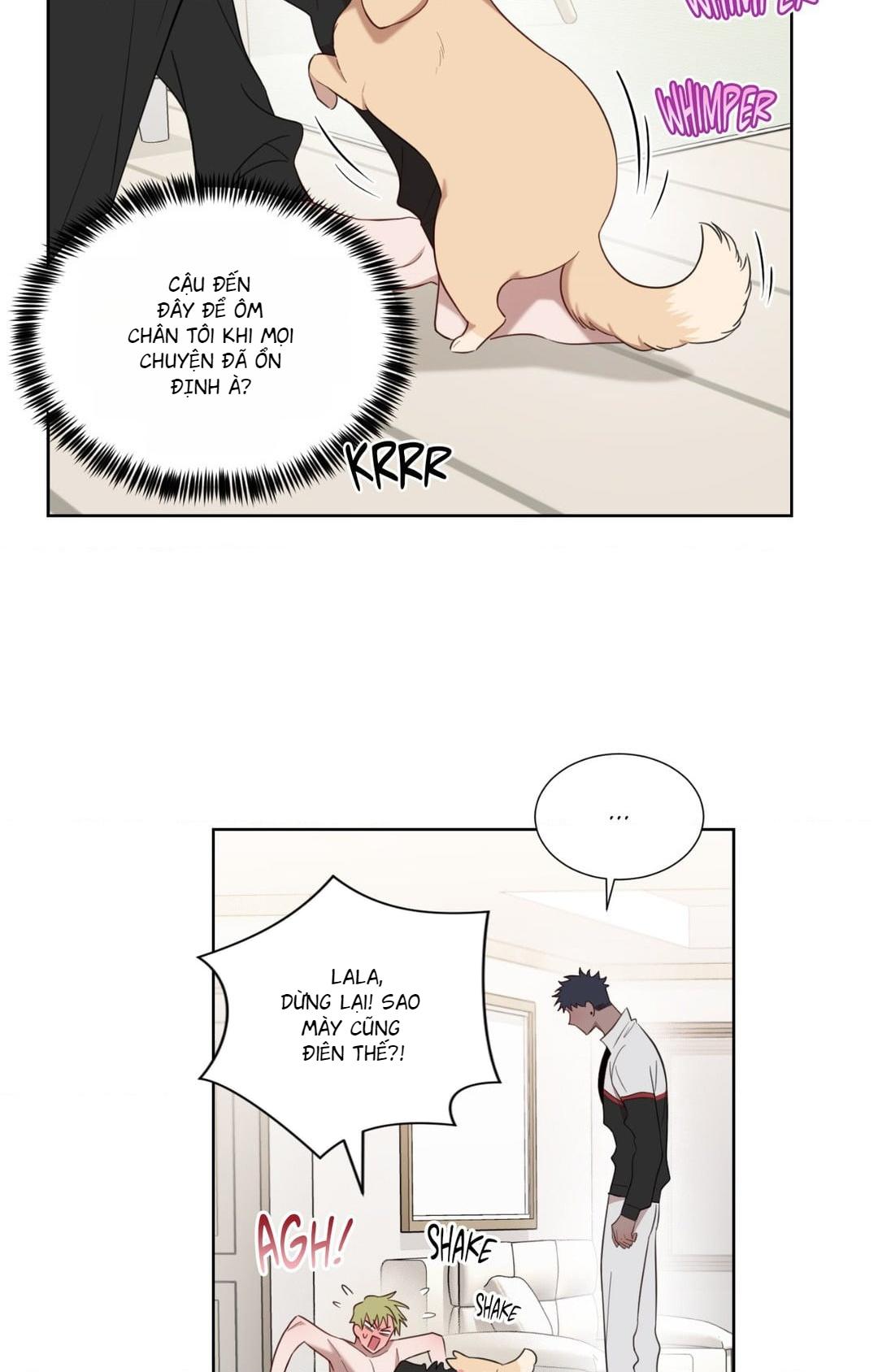 Đồ ăn đêm cho quỷ tà râm - Chap 6