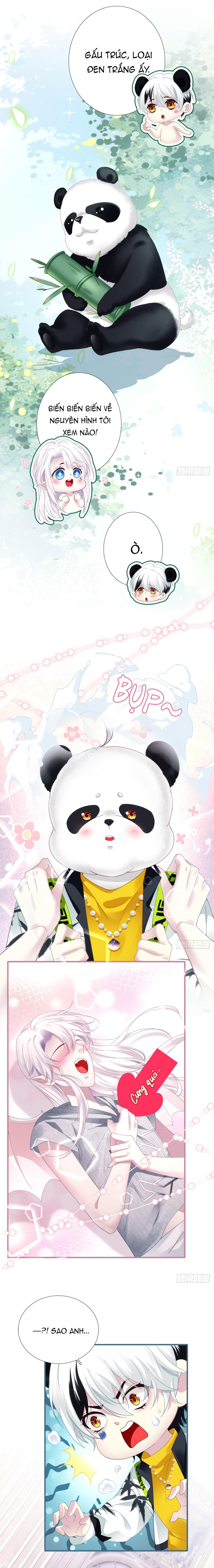 Thánh Tâm không dễ chọc - Chap 31