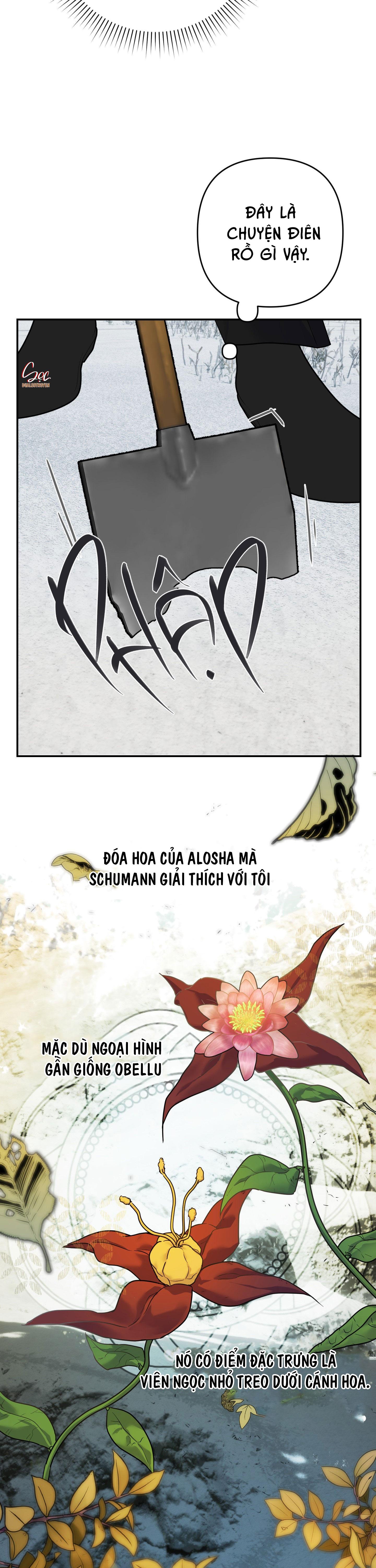ĐÓA HOA CỦA ALOSHA - Chap 21