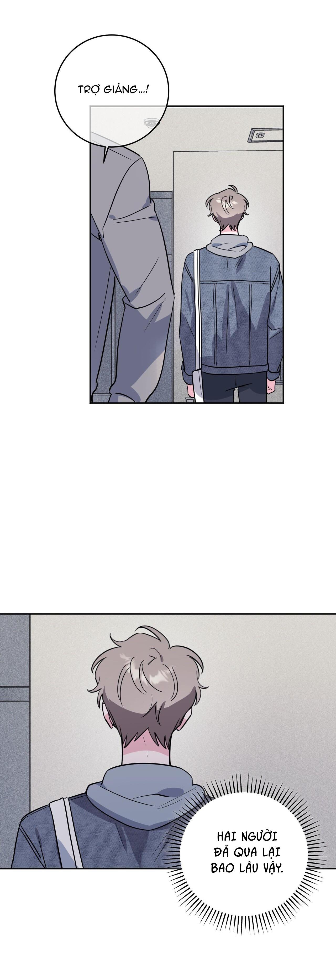 CẠM BẪY ĐẠI HỌC - Chap 81