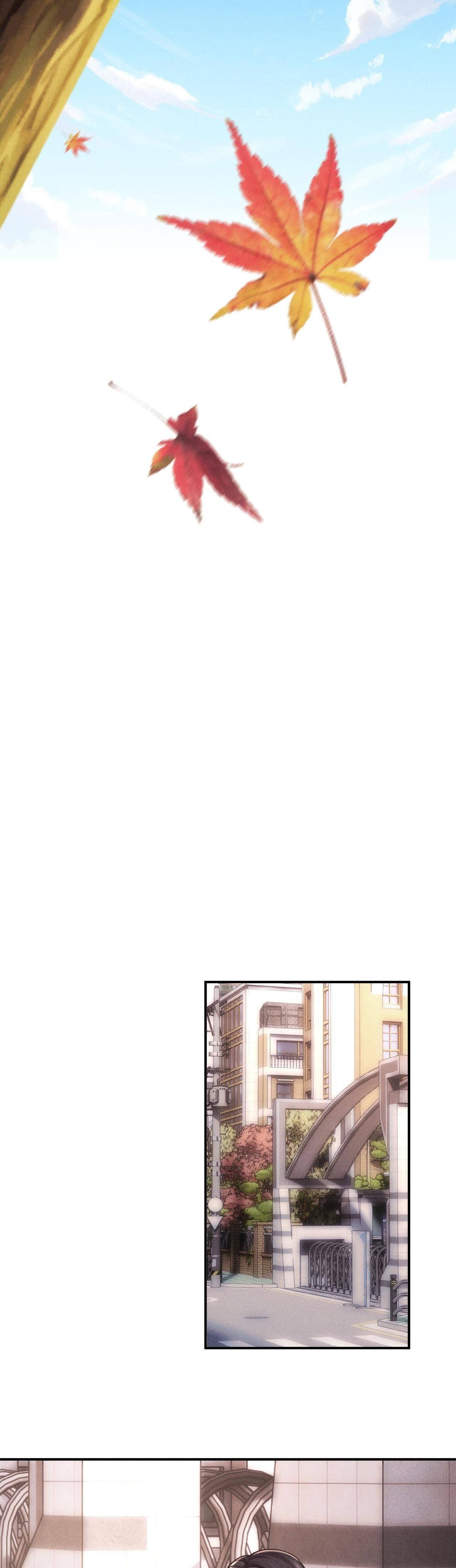 Chấp Sự Thỏ Tai Cụp - Chap 82