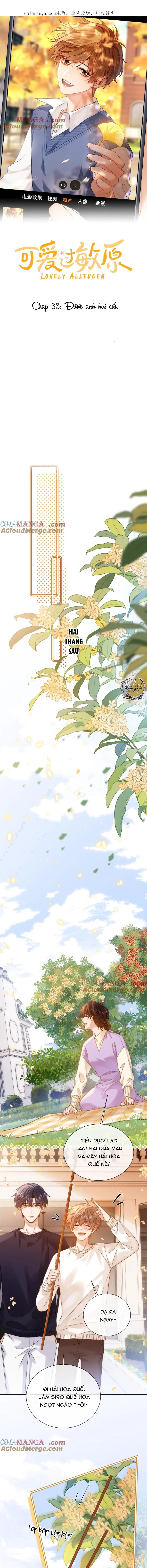 Chất Dị Ứng Đáng Yêu - Chap 33