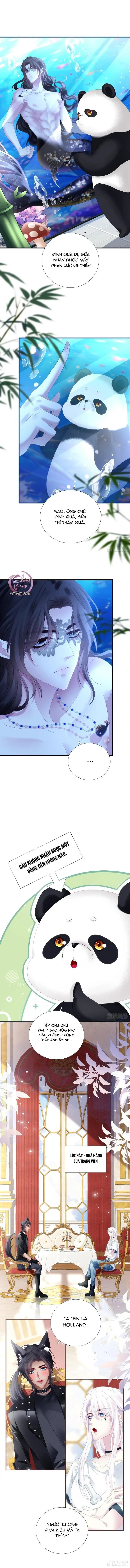 Thánh Tâm không dễ chọc - Chap 51