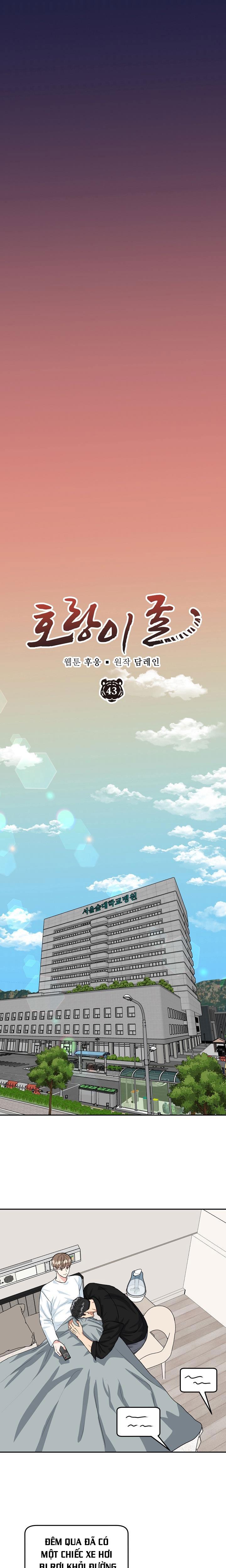 (ABO) HANG HỔ - Chap 43