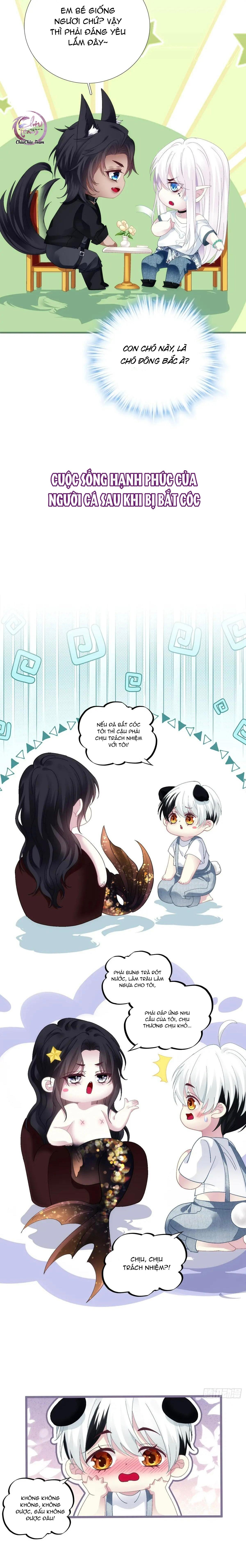 Thánh Tâm không dễ chọc - Chap 51