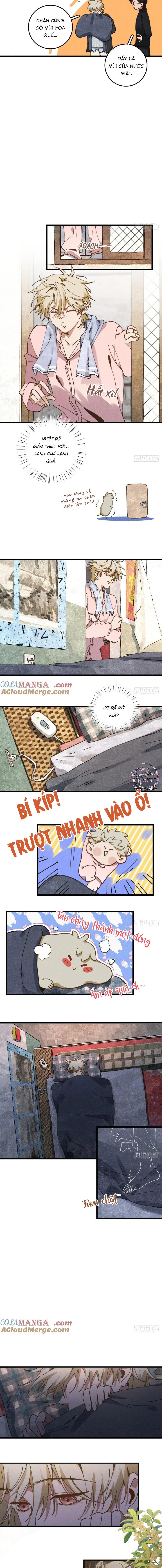 Ra Ruộng Ngô Với Anh Á, Còn Lâu! - Chap 34