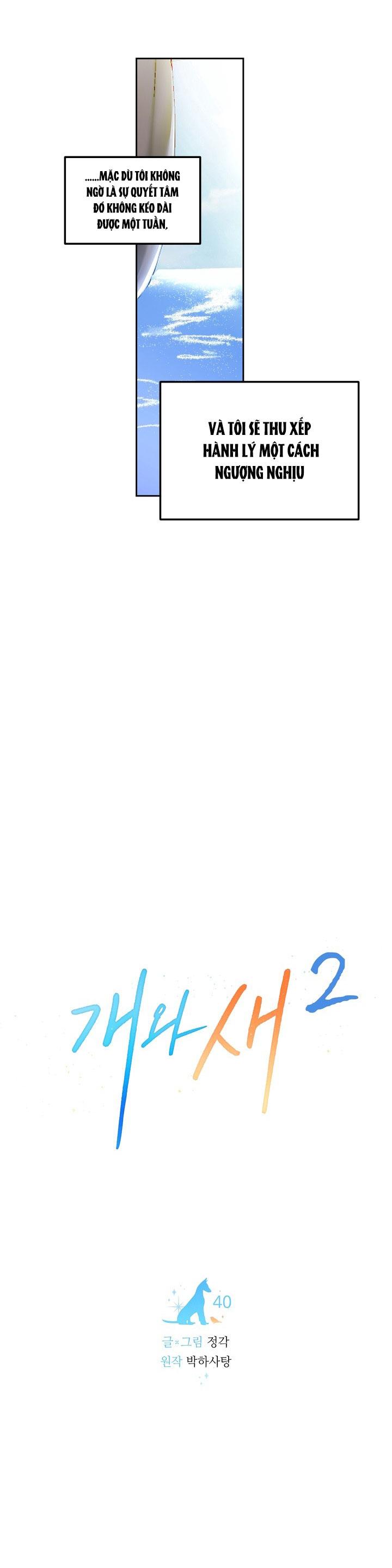 CHÓ VÀ CHIM - Chap 40