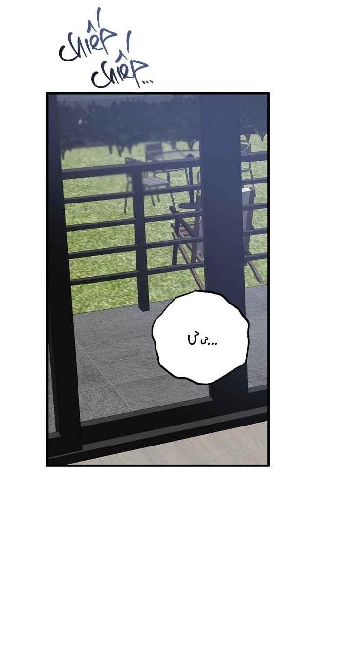 [END] HƠI THỞ CỦA CỪU - Chap 5