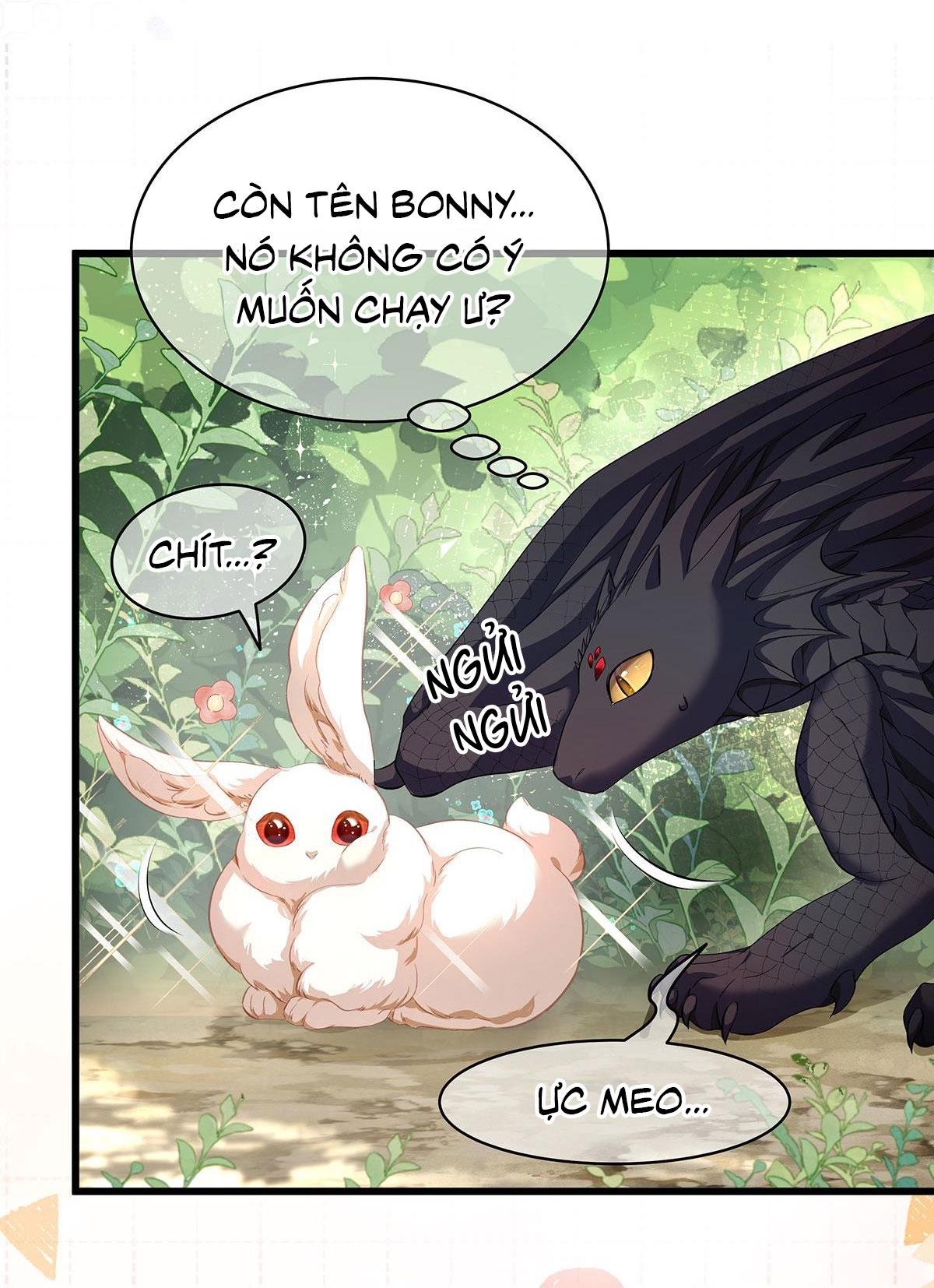 Tôi trùng sinh thành chú rồng đen của vương tử điện hạ - Chap 14