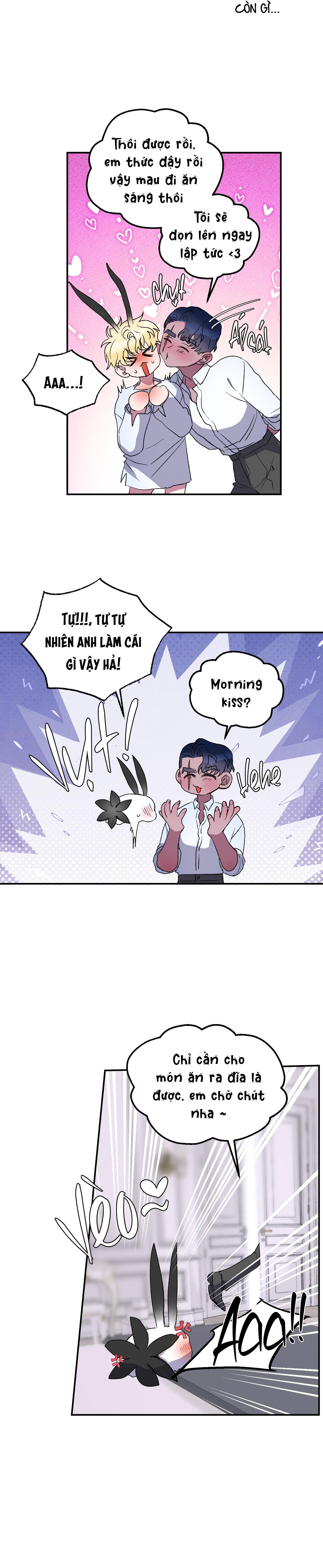 CÁ MẬP VÀ CÔ DÂU THỎ - Chap 26