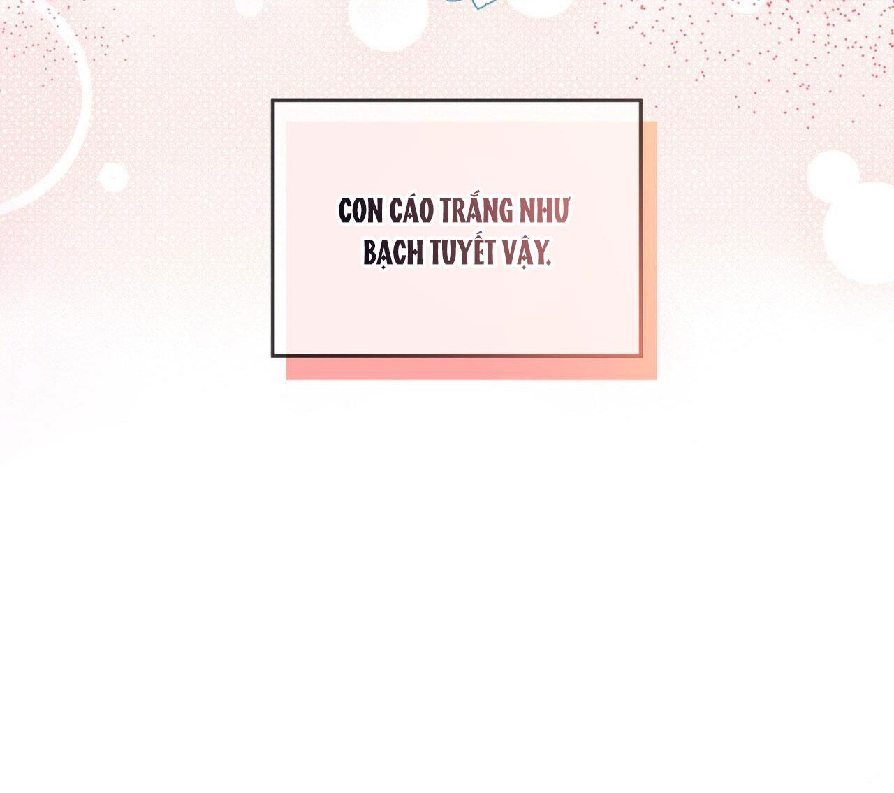 NƯỚC UỐNG TÌNH YÊU CỦA CÁO PLIN - Chap 4