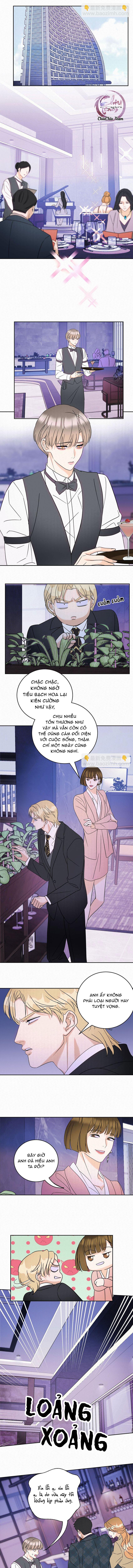 Anh Trai Rẻ Tiền Của Tôi (END) - Chap 19